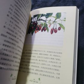 遇见最美的本草：一位临床医生的中药札记