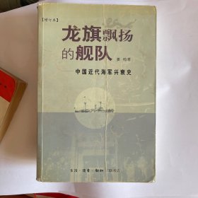 龙旗飘扬的舰队：中国近代海军兴衰史