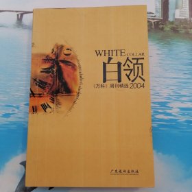 白领2004:《万科》周刊精选