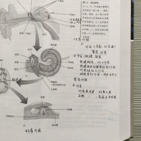 生物心理学