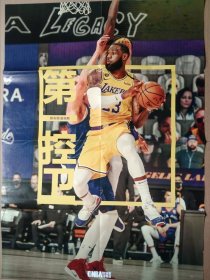 NBA球星海报 勒布朗詹姆斯 杰伦布朗