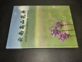 云南高山花卉