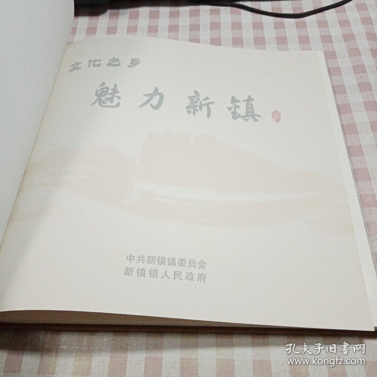 文化之乡·魅力新镇