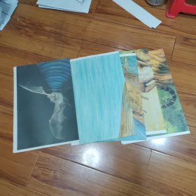 义务教育三（四）年制初中生物教学挂图 哺乳钢（5张合售）