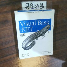 Visual Basic NET编程