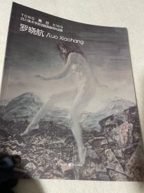 同行——四川美术学院油画系列教师作品集_罗晓航