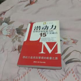 潜动力:管理者强化能力的15个突破点