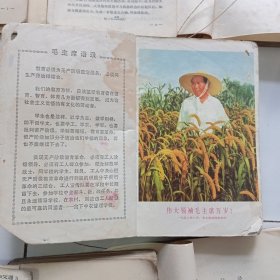 1960/70/80年代中小学语文、数学、政治、英语、历史、地理、社会发展史、农业基础、化学等24册教材合售