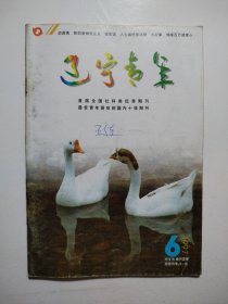 辽宁青年1997.6