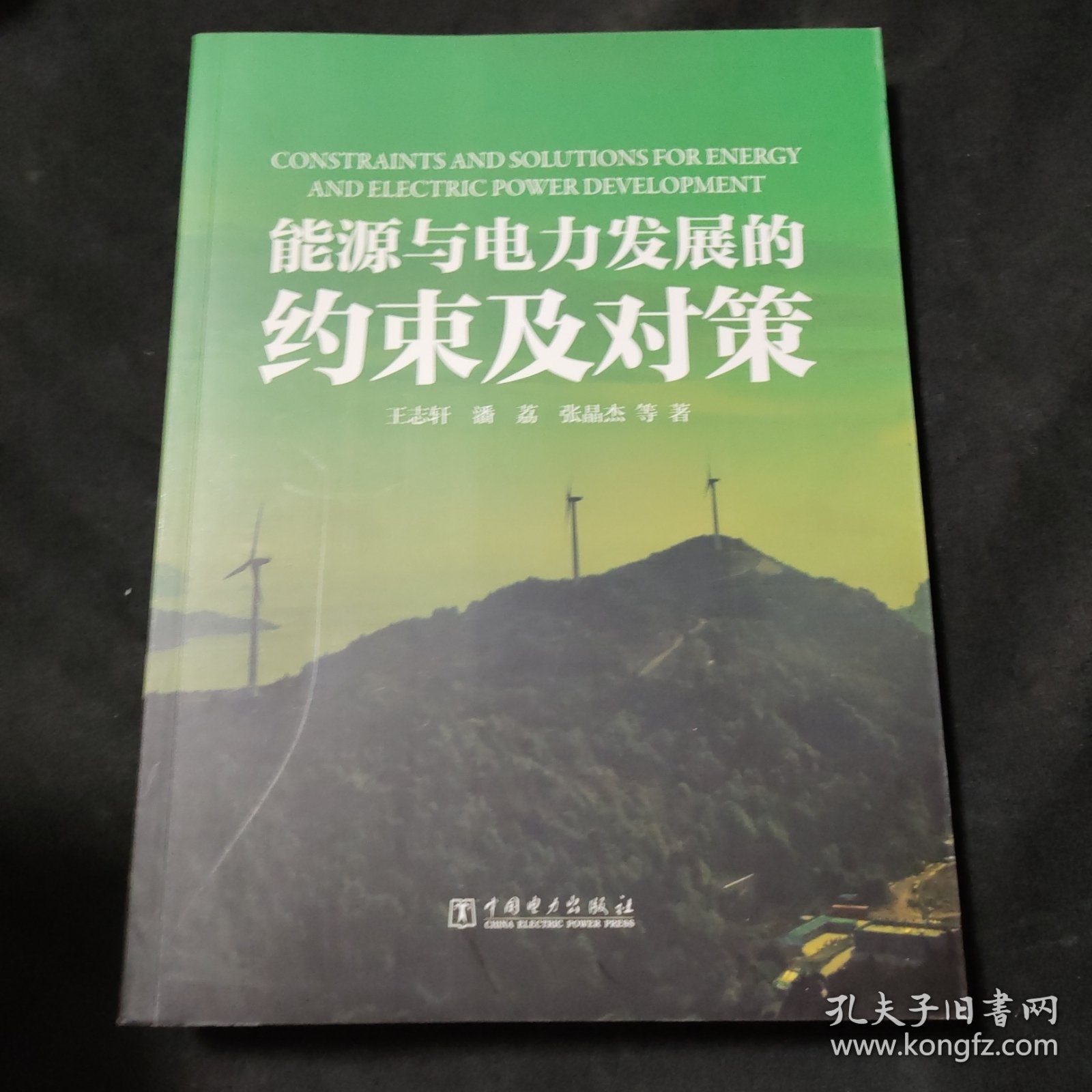 能源与电力发展的约束及对策