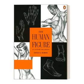 英文原版 The Human Figure 人体特征 艺用人体剖析 美术 绘画指南 David K. Rubins 英文版 进口英语原版书籍