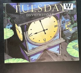 Tuesday 平裝 無字書