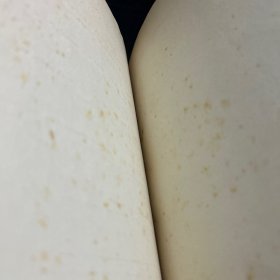 小学语文教师手册