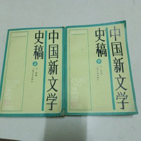 中国新文学史稿上下册