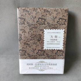 【库存书】大街(刘易斯卷上下)(精)/诺贝尔文学奖作品典藏书系