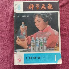 科学画报1980全年（12册合售）