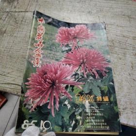 中国花卉盆景 1985年10期