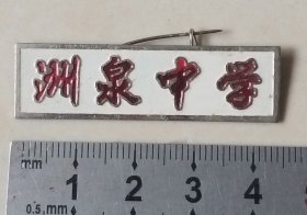 （嘉兴桐乡）洲泉中学校徽