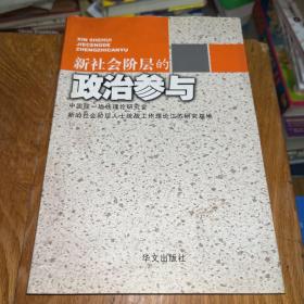 新社会阶层的政治参与