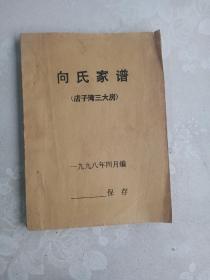 向氏家谱  店子湾三大房   四川遂宁