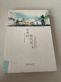 小米村断代史