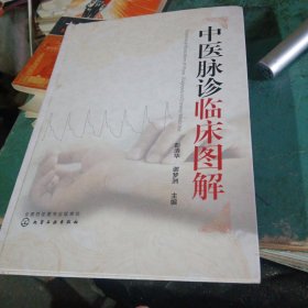 中医脉诊临床图解