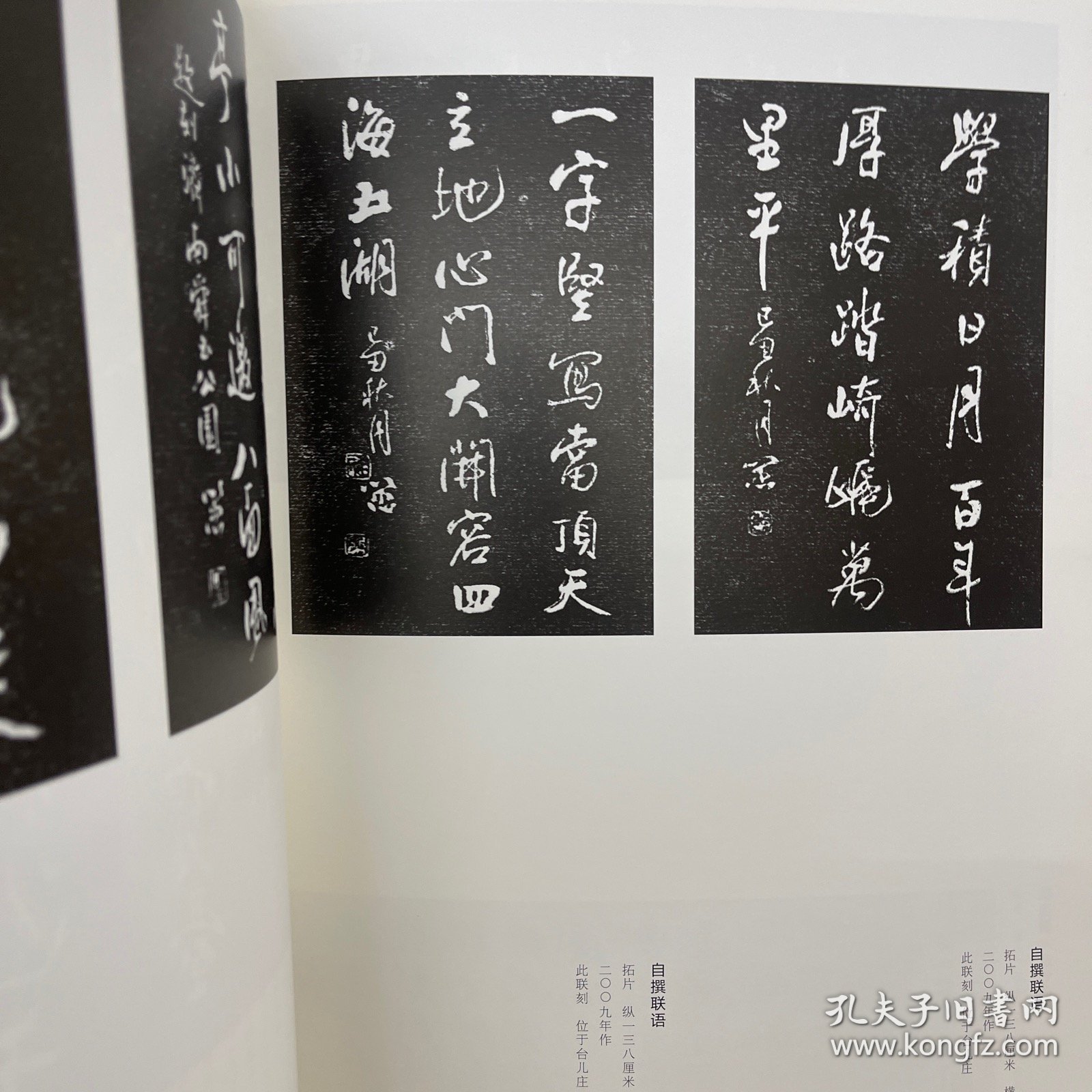 娄以忠书法作品集