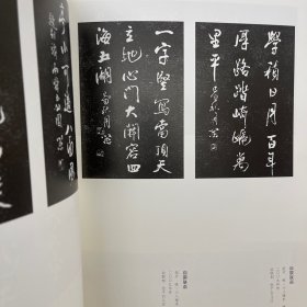 娄以忠书法作品集