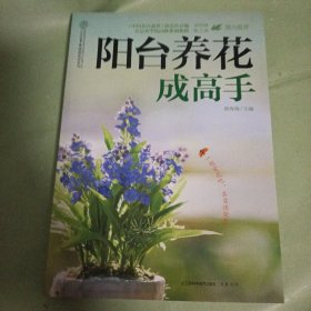 阳台养花成高手