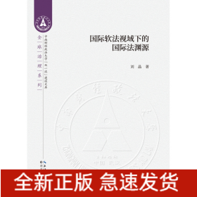 国际软法视域下的国际法渊源/全球治理系列/中南财经政法大学双一流建设文库