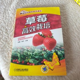 高效种植致富直通车：草莓高效栽培