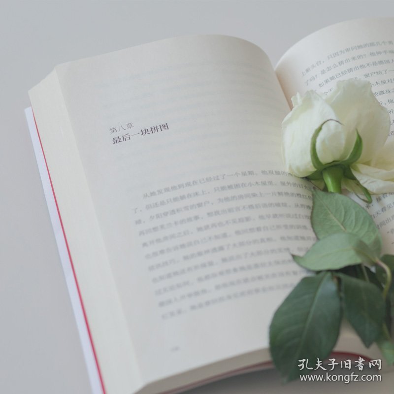 黑森林与白玫瑰