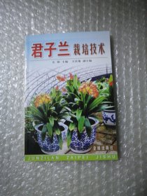 君子兰栽培技术