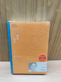 茅盾文学奖获奖作品全集：少年天子