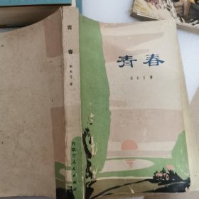青春