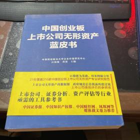 中国创业板上市公司无形资产蓝皮书（2011-2012）