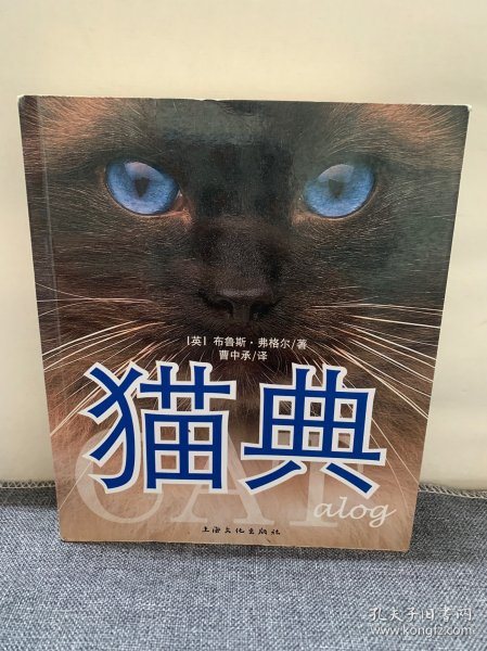 猫典