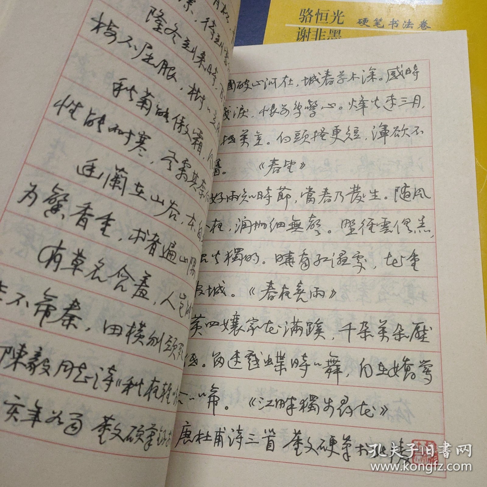 硬笔书法大师最新精品系列 卢桐硬笔书法卷、董文硬笔书法卷、2本
