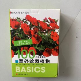 室外盆栽植物(BLOOM\'S基本花材)