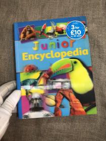 Junior Encyclopedia Encyclopaedia 少儿百科全书【英文版，铜版纸彩印。封面是正版独有的立体光栅印刷图案，请留意鉴别】打包后超一公斤重