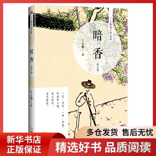 正版书籍暗香(修订版)丁立梅9787515518947新华仓库多仓直发