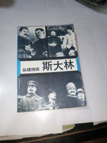 纵横捭阖斯大林   （32开本，世界知识出版社89年印刷）内页干净。