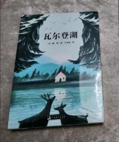瓦尔登湖 世界名著典藏 名家全译本 外国文学畅销书