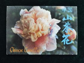 （明信片）中国山茶花 第二辑 10张