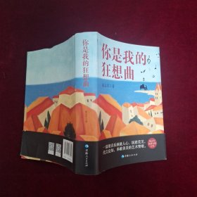 你是我的狂想曲