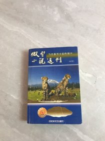 微型小说选刊（当代微型小说的窗口）合订本