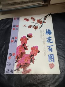 梅花百图