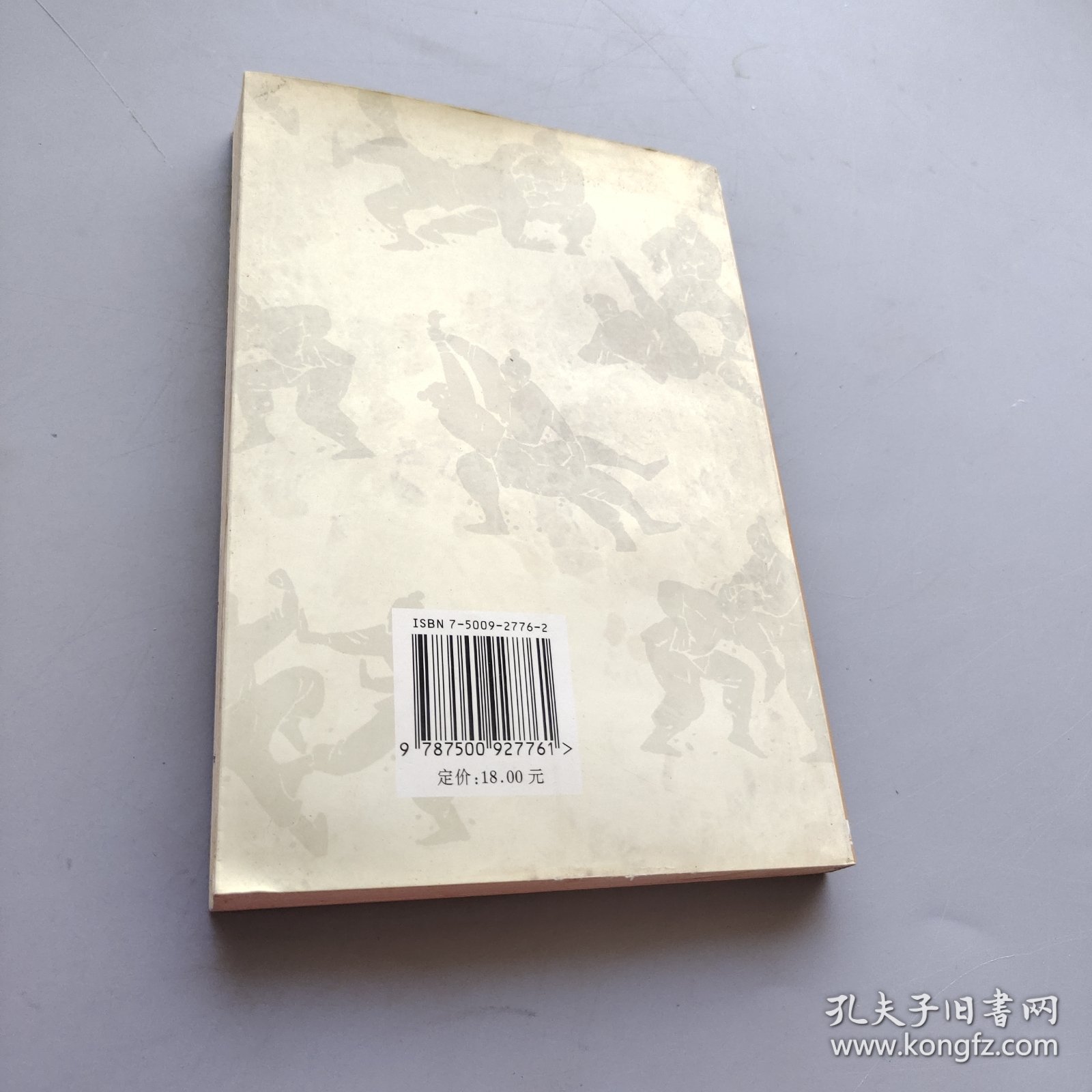 武当拳法实用制敌术