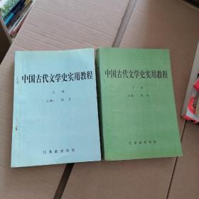 中国古代文学史实用教程 上下册