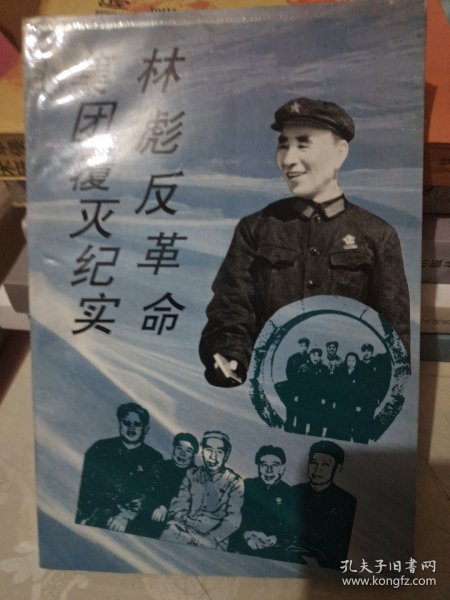 林彪反革命集团覆灭纪实